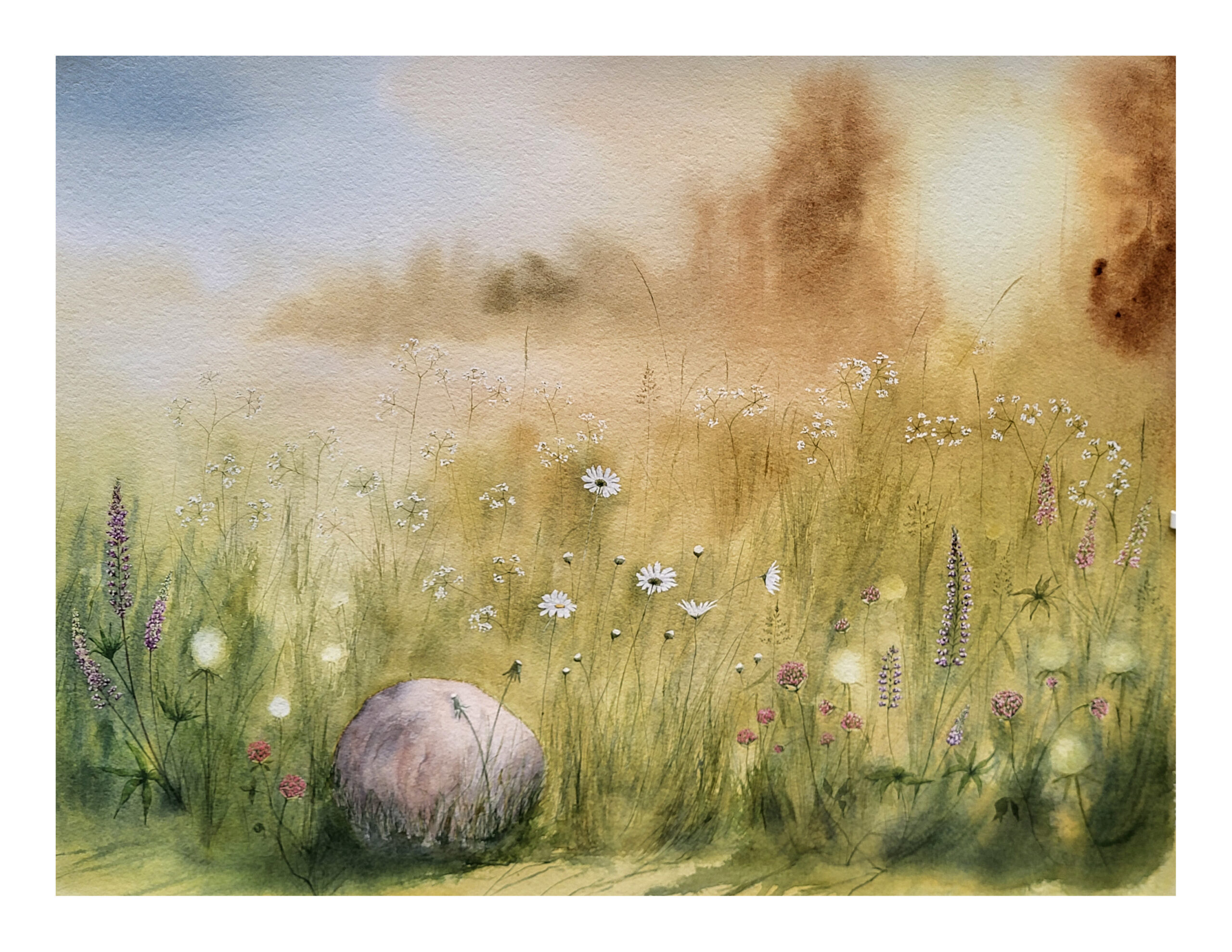 Sommaräng