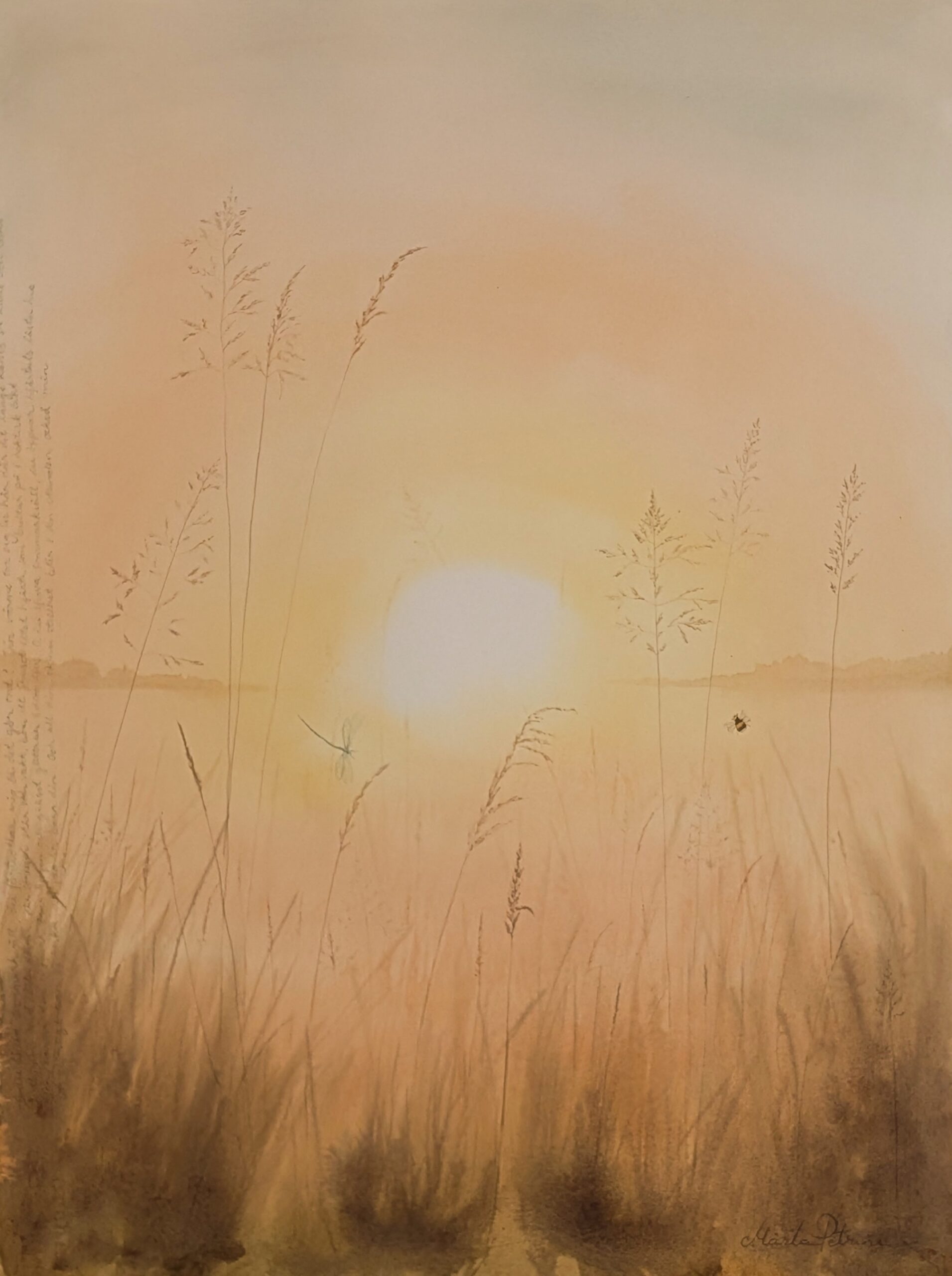 PXL_20251107_104642888.MP~2