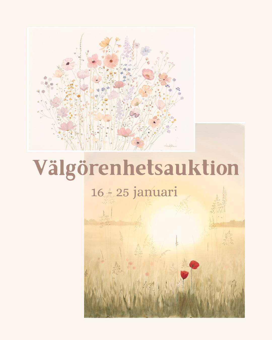 9B88B447-79B8-4A5C-8E42-B86535FC93F3